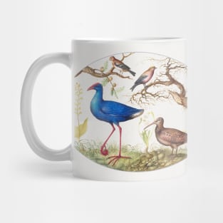 Swamp hen and woodcock with two finches (1575–1580) Mug